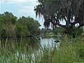 Guy Fanguy - Artist - Photographer - Guy Fanguy - Towns - Louisiana - Theriot (6).jpg Size: 92041 - 11